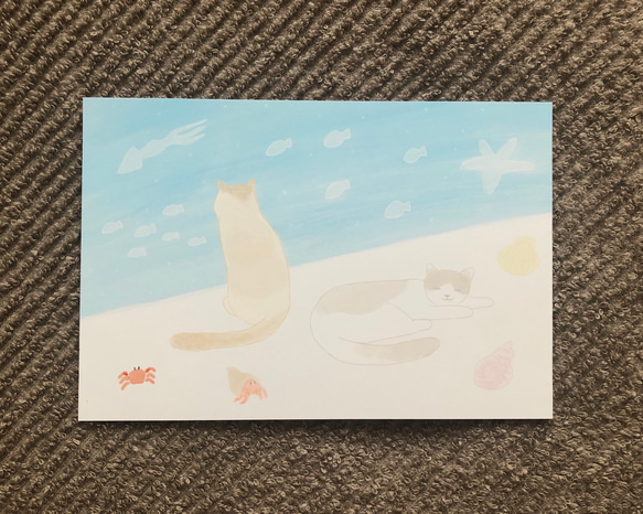 ポストカード 3枚セット 『海辺のネコ』 2枚目の画像