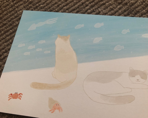 ポストカード 3枚セット 『海辺のネコ』 3枚目の画像