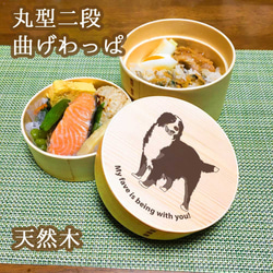 0_f2c9520d38d3de09fadaa6aff366