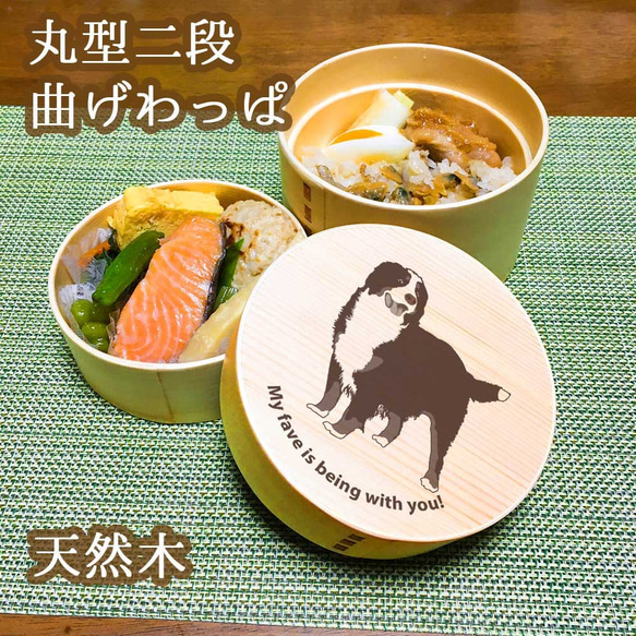 バーニーズ 】 丸型 二段 白木 曲げわっぱ 弁当箱 ランチ