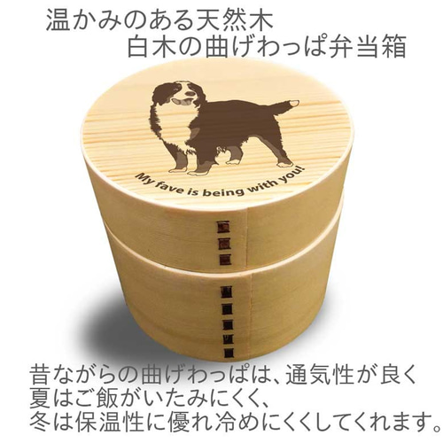 バーニーズ 】 丸型 二段 白木 曲げわっぱ 弁当箱 ランチボックス