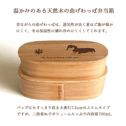 【 ダックスフンド 】 スリム 入子 型 天然木 曲げわっぱ 弁当箱 二段 わっぱ 木製 2枚目の画像