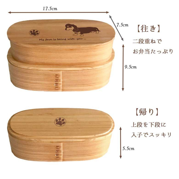 【 ダックスフンド 】 スリム 入子 型 天然木 曲げわっぱ 弁当箱 二段 わっぱ 木製 4枚目の画像
