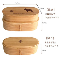 【 フレブル 】 スリム 入子 型 天然木 曲げわっぱ 弁当箱 二段 わっぱ 木製 3枚目の画像