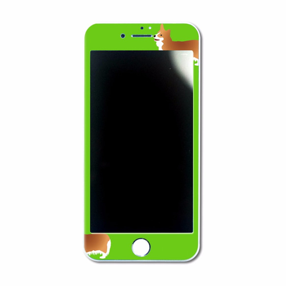 コーギー iPhone7 強化ガラス製液晶保護フィルム iPhone8 iPhone6 iPhone6s 5枚目の画像