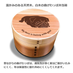 【 新商品 】 パグ 丸型 白木 曲げわっぱ 弁当箱 柴犬 日本犬 犬 ランチボックス わっぱ 木製 天然木 2枚目の画像