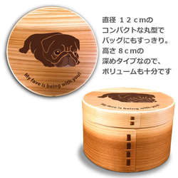 【 新商品 】 パグ 丸型 白木 曲げわっぱ 弁当箱 柴犬 日本犬 犬 ランチボックス わっぱ 木製 天然木 4枚目の画像