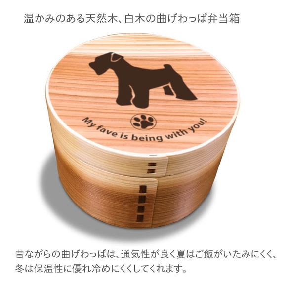 【 ミニシュナ 】 丸型 白木 曲げわっぱ 弁当箱 柴犬 日本犬 犬 ランチボックス わっぱ 木製 天然木 2枚目の画像
