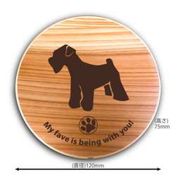 【 ミニシュナ 】 丸型 白木 曲げわっぱ 弁当箱 柴犬 日本犬 犬 ランチボックス わっぱ 木製 天然木 3枚目の画像