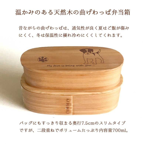 【 ジャックラッセル 】 スリム 入子 型 天然木 曲げわっぱ 弁当箱 二段 わっぱ 木製 2枚目の画像