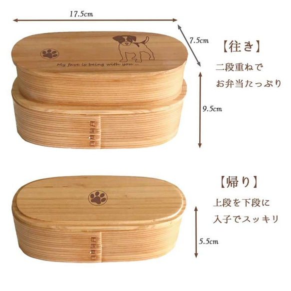 【 ジャックラッセル 】 スリム 入子 型 天然木 曲げわっぱ 弁当箱 二段 わっぱ 木製 3枚目の画像