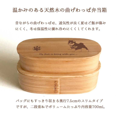 豆柴 】 スリム 入子 型 天然木 曲げわっぱ 弁当箱 二段 わっぱ 木製