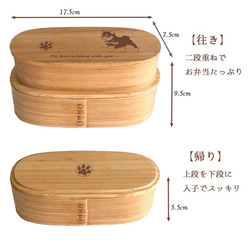 【 豆柴 】 スリム 入子 型 天然木 曲げわっぱ 弁当箱 二段 わっぱ 木製 3枚目の画像