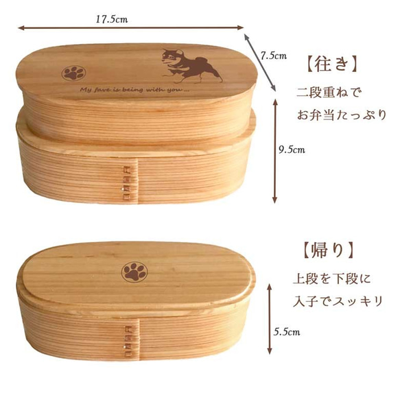  第3張的照片