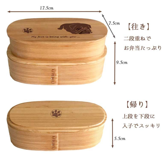  第3張的照片