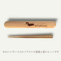 【 ダックスフンド 】 木の箸・箸箱 21cm 19cm 天然木 ヘムロック 箸 箸箱 お弁当 オリジナル 2枚目の画像