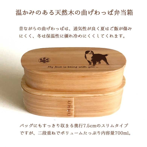 【 バーニーズ 】 スリム 入子 型 天然木 曲げわっぱ 弁当箱 二段 わっぱ 木製 2枚目の画像