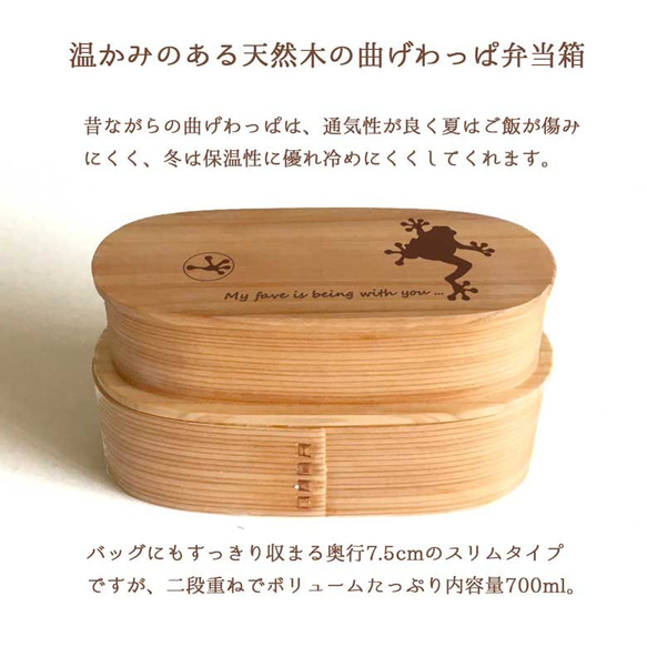 【 カエル 】 スリム 入子 型 天然木 曲げわっぱ 弁当箱 二段 わっぱ 木製 2枚目の画像