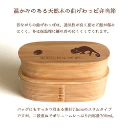 【 カメレオン 】 スリム 入子 型 天然木 曲げわっぱ 弁当箱 二段 わっぱ 木製 2枚目の画像