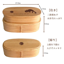 【 カメレオン 】 スリム 入子 型 天然木 曲げわっぱ 弁当箱 二段 わっぱ 木製 3枚目の画像