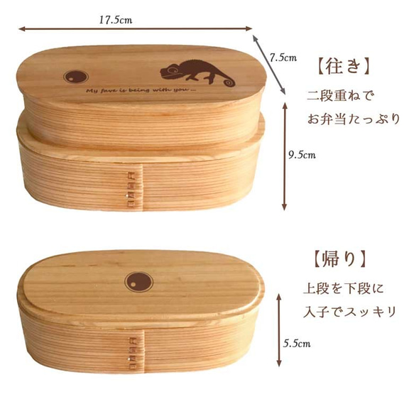 【 カメレオン 】 スリム 入子 型 天然木 曲げわっぱ 弁当箱 二段 わっぱ 木製 3枚目の画像
