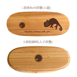 【 カメレオン 】 スリム 入子 型 天然木 曲げわっぱ 弁当箱 二段 わっぱ 木製 4枚目の画像