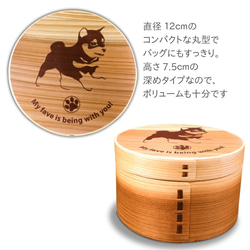 【 豆柴 】 丸型 白木 曲げわっぱ 弁当箱 柴犬 日本犬 犬 ランチボックス わっぱ 木製 天然木 4枚目の画像