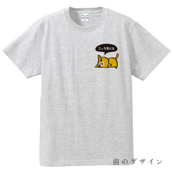 猫Tシャツ　両面デザイン　いま張りつき尾行中。　男女兼用M　グレー 2枚目の画像