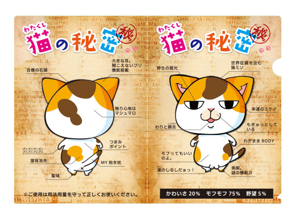 猫クリアファイル 2種セット！猫の秘密/ファイルを使って整理