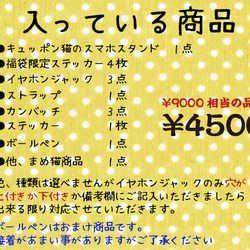 数量限定！　ねこ福袋　¥9000→¥4500 3枚目の画像