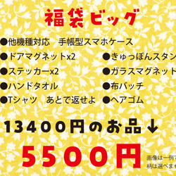 ラスト１点 福袋(猫袋) ビッグ！　13400円→5500円 2枚目の画像