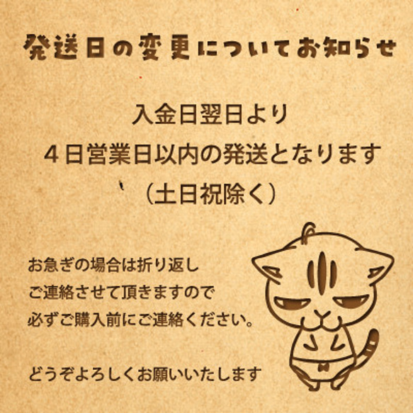 ¥4785→¥1980　　猫袋（福袋）ミニ　数量限定！ 3枚目の画像