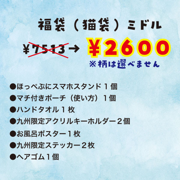 ¥7513→¥2600　　猫袋（福袋）ミドル　数量限定！ 2枚目の画像