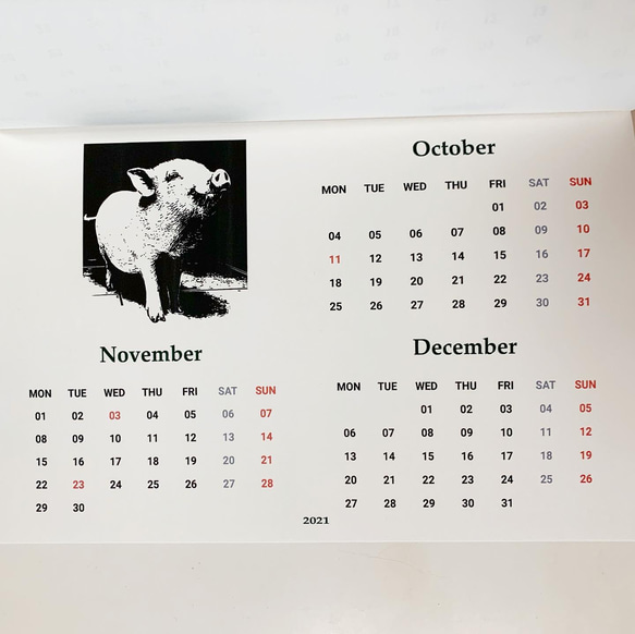 2021年豚さんカレンダー・お洒落 5枚目の画像