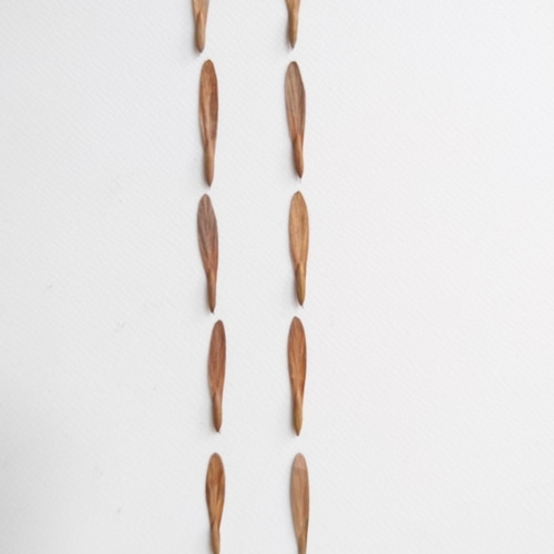 超レアなアオダモ種子（50粒）日本で減少している雑木の珍しい種子です