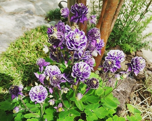 5_ec9403b36aa21ad2a5cba9215eb3