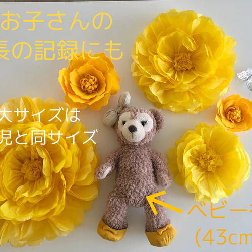 黄色 豪華特大ウォールフラワー5つセット ペーパーフラワー 蝶3匹付き