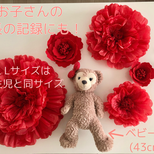 ウォールフラワー93(特大)