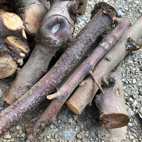 薪7kg】 りんごの樹の枝 薪ストーブ キャンプ 焚き火 木材・板 幸作 