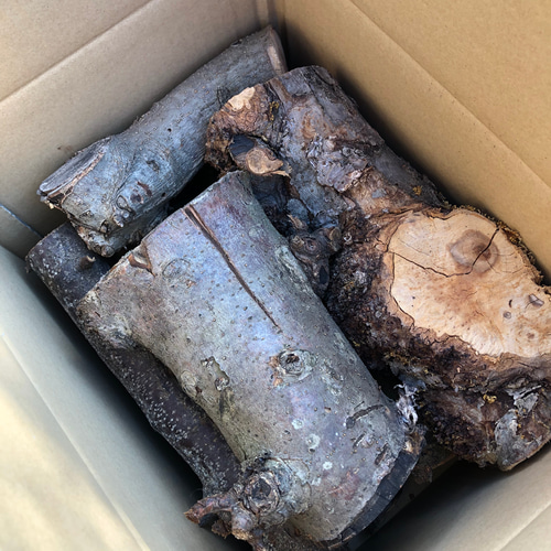 薪7kg】 りんごの樹の枝 薪ストーブ キャンプ 焚き火 木材・板 幸作 