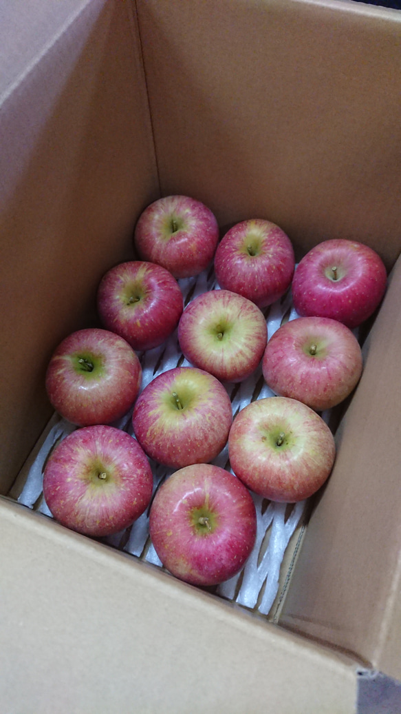 【りんご】シナノスイート(家庭用)約10kg【10月下旬より発送】 2枚目の画像