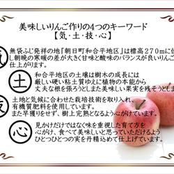 【りんご】ARTBOX(アートボックス)　ギフトボックス　６個入り　約2ｋｇ 3枚目の画像