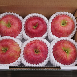 【りんご】シナノスイート5～7個入り(約1.8kg)　2023年１月から再販予定 1枚目の画像