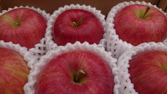 【りんご】シナノスイート5～7個入り(約1.8kg)　2023年１月から再販予定 2枚目の画像