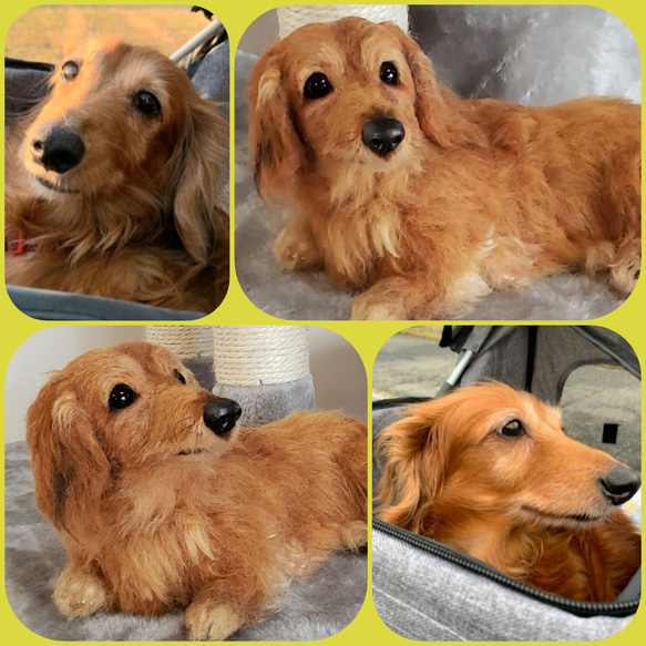 羊毛フェルト すず様 ダックスフンド 犬 ハンドメイド オーダー