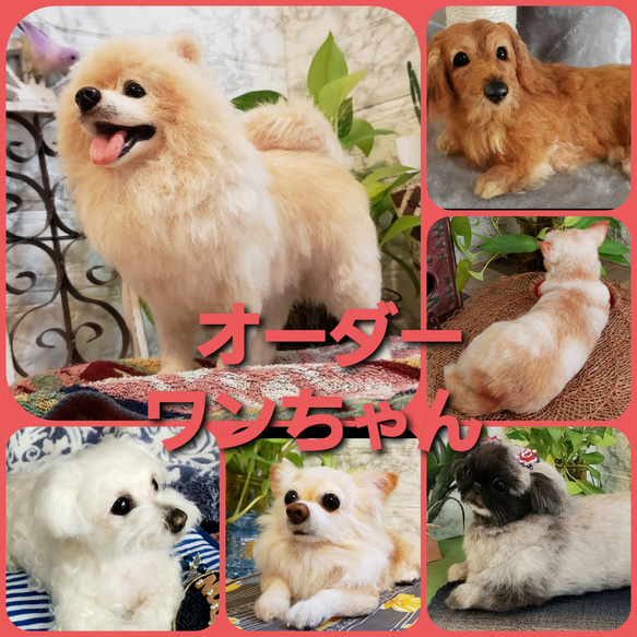 オーダー羊毛フェルト マルチーズ  ポメラニアン　マルチーズ&ポメラニアンMIX犬　オーダーメイド犬『想いを形に♥』 12枚目の画像