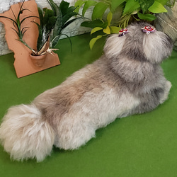 オーダー羊毛フェルト犬   オーダーペキニーズ    メモリアル   ペキニーズ　羊毛フェルト 『想い』を『形』に♥️ 5枚目の画像