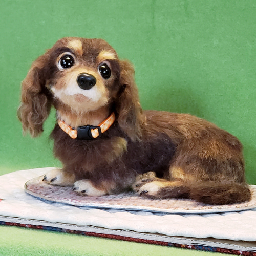 オーダー羊毛フェルト犬 マルチーズ ミニチュアダックスフンド
