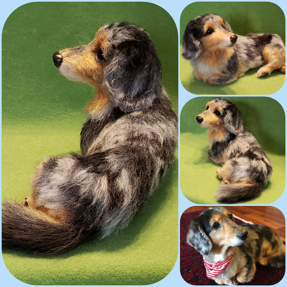 羊毛フェルト犬 犬オーダー メモリアル オーダー犬 リアル犬 ペット 