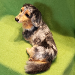 羊毛フェルト犬  犬オーダー メモリアル オーダー犬 リアル犬 ペットロス 犬人形 オーダー羊毛犬　羊毛フェルト 2枚目の画像